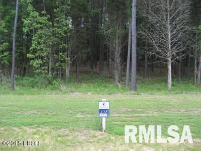 Lot 358 Parrish Ridge Lane, Goreville, Illinois image 8