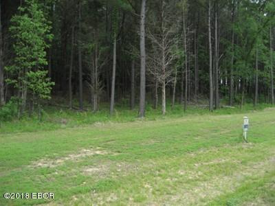 Lot 358 Parrish Ridge Lane, Goreville, Illinois image 5