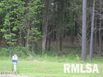 Lot 358 Parrish Ridge Lane, Goreville, Illinois image 1