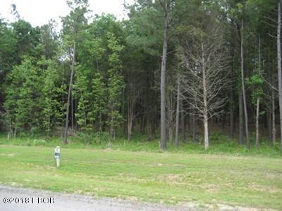 Lot 358 Parrish Ridge Lane, Goreville, Illinois image 3