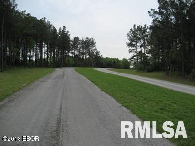 Lot 358 Parrish Ridge Lane, Goreville, Illinois image 7