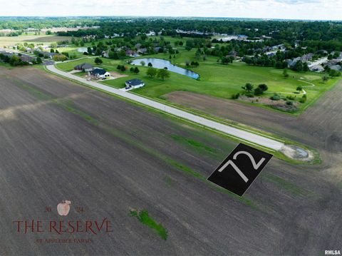 Vacant Land For Sale - 72 Applebee Farms Drive<br/> Morgan County, Jacksonville, IL 62650