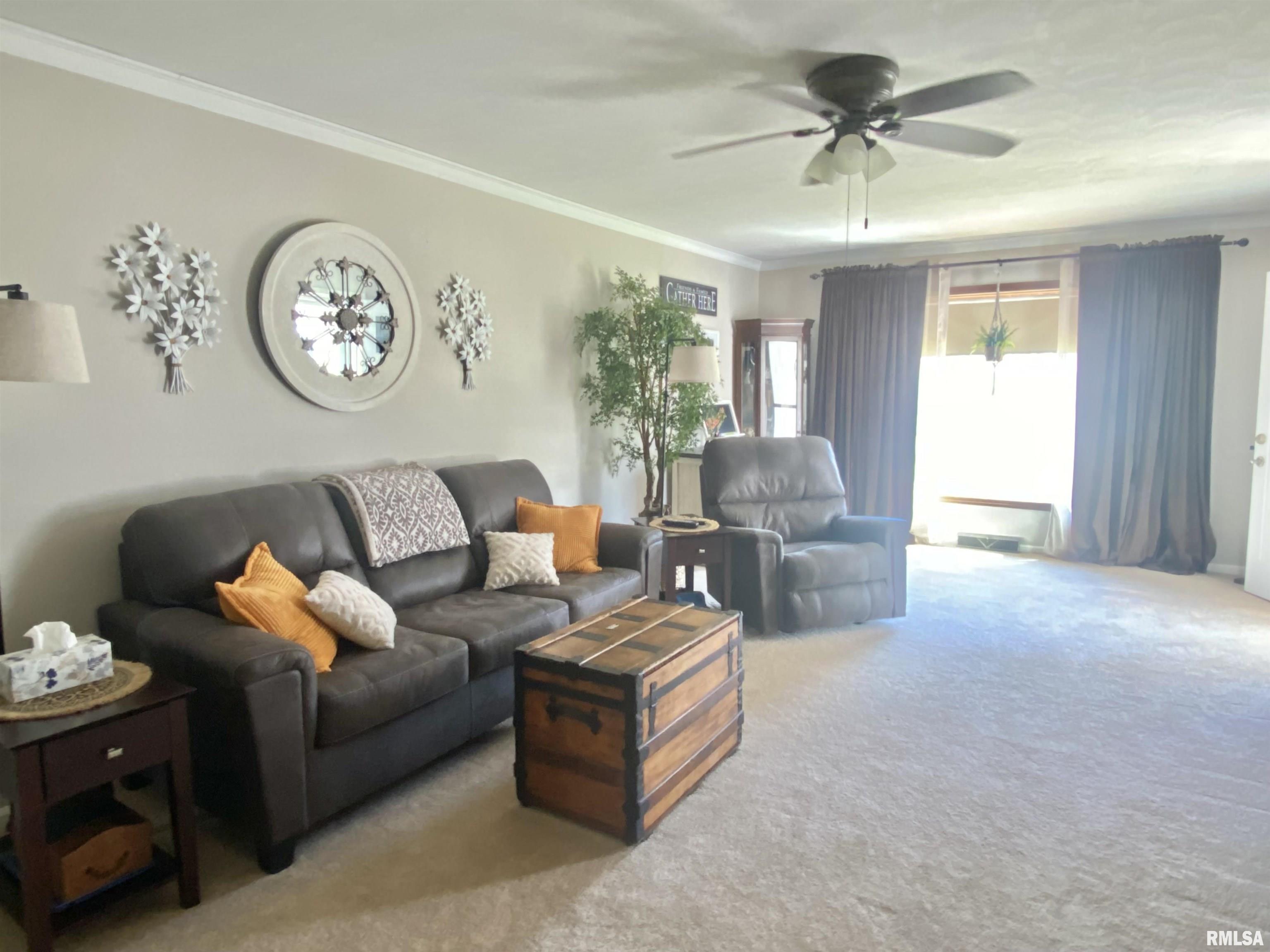 408 N Morgan Street, Mason City, Illinois image 38