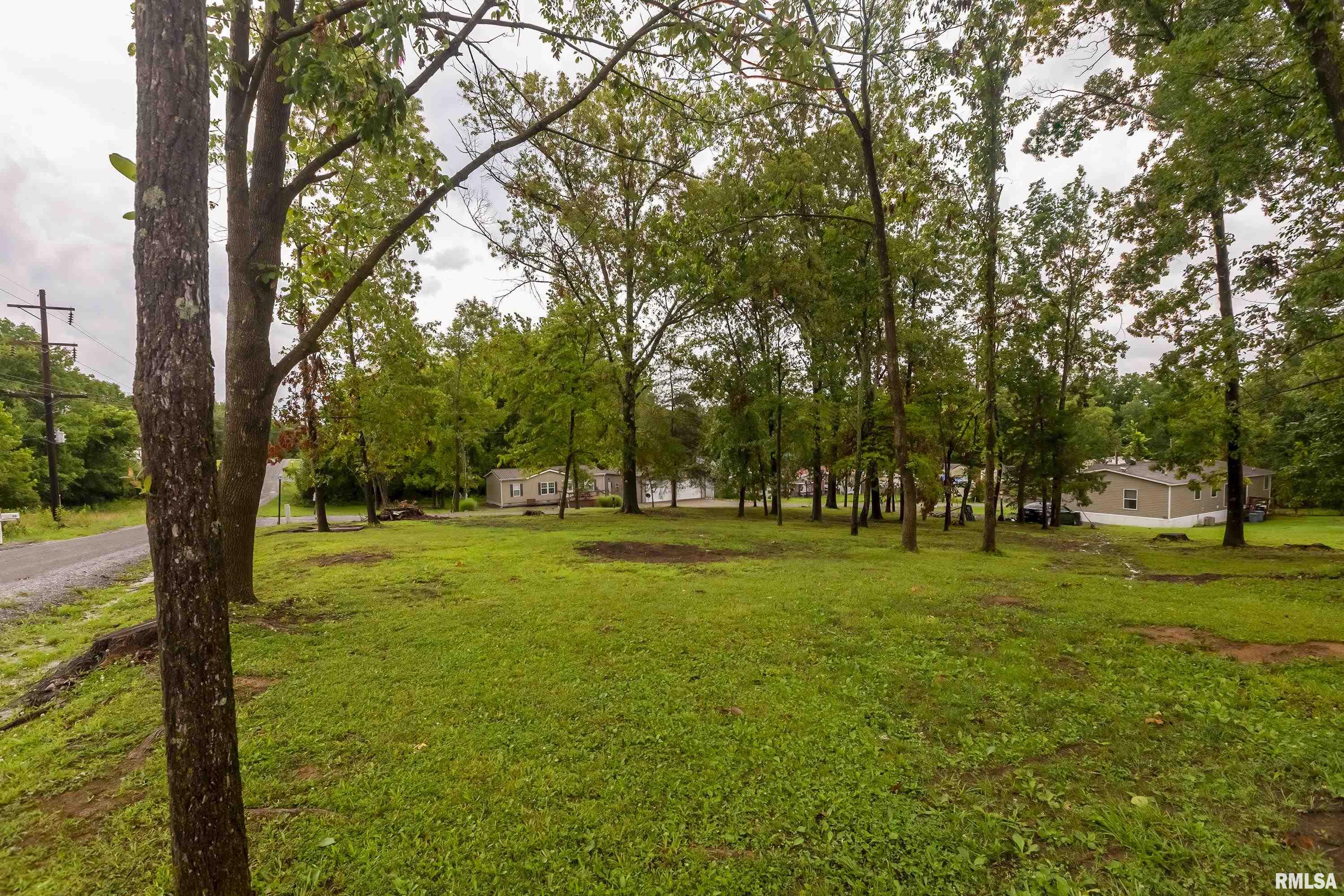 150 John Able Drive, Goreville, Illinois image 32