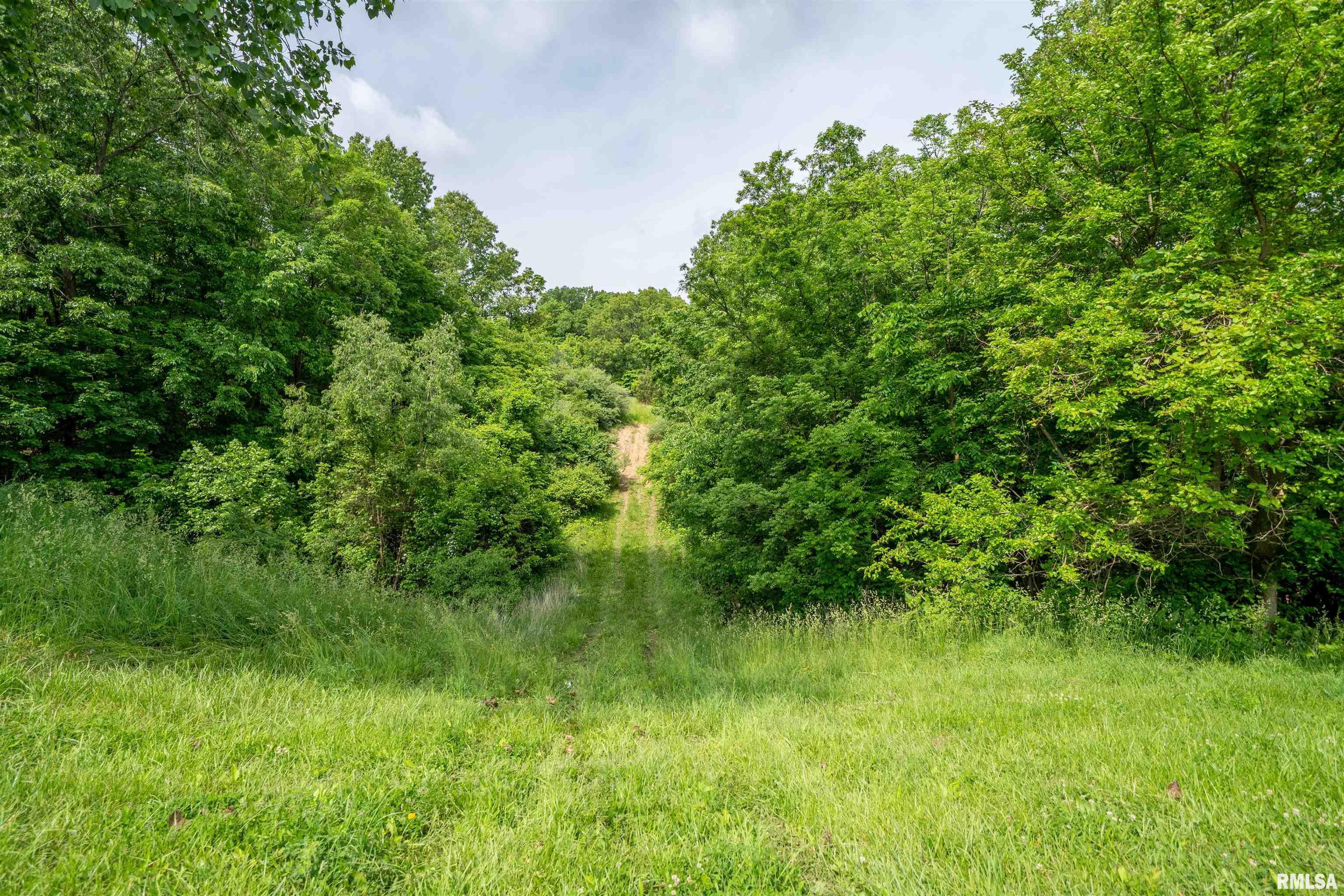 23907 Veterans Road, Morton, Illinois image 44