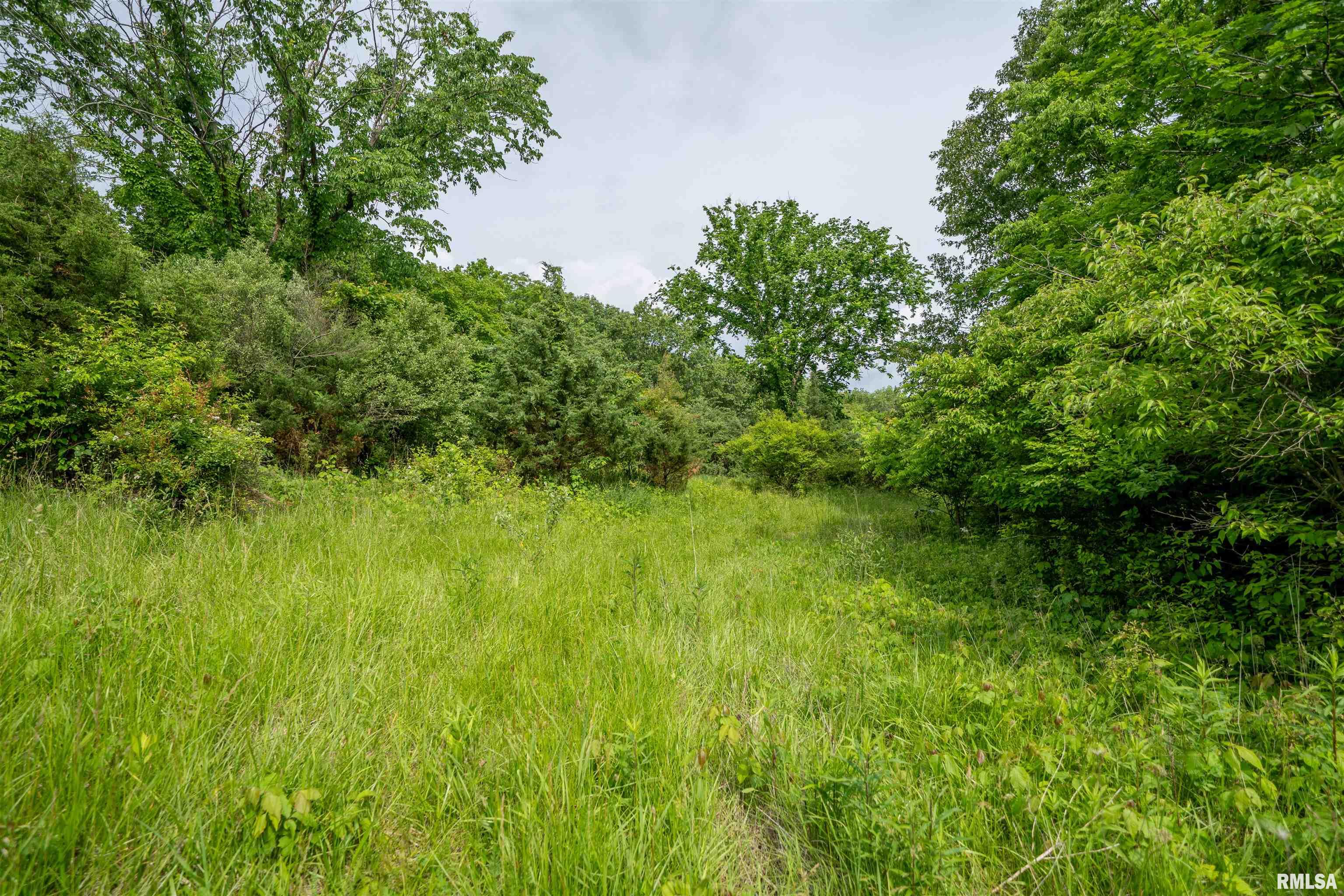 23907 Veterans Road, Morton, Illinois image 48