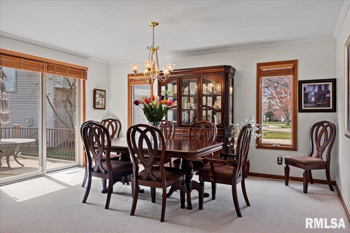3204 Eagle Watch Drive, Springfield, Illinois image 9
