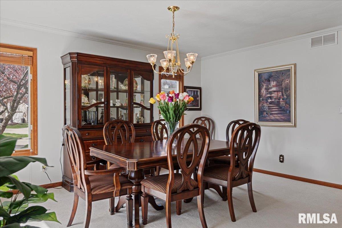 3204 Eagle Watch Drive, Springfield, Illinois image 10