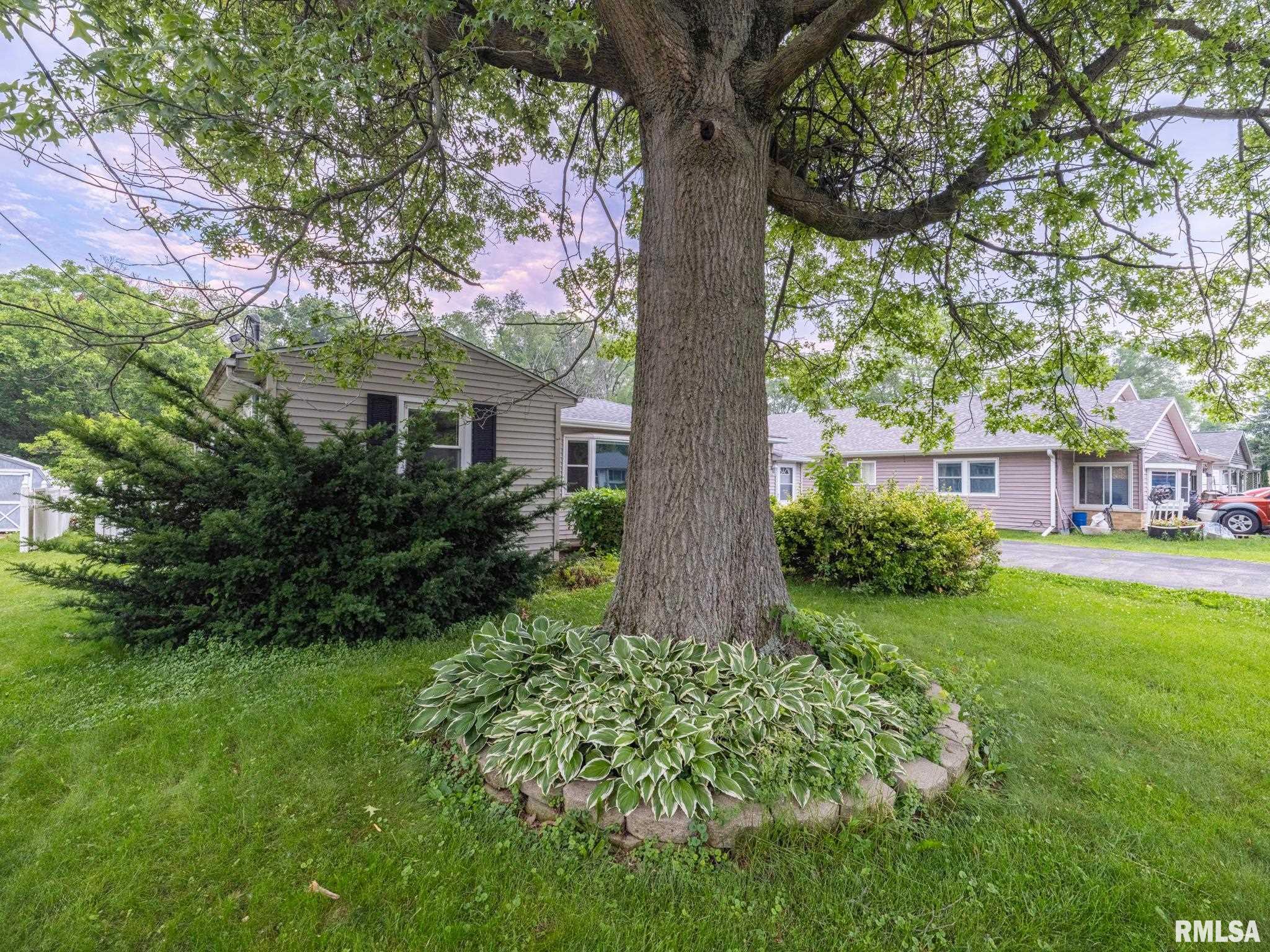 712 N Elbert Court, Hanna City, Illinois image 46