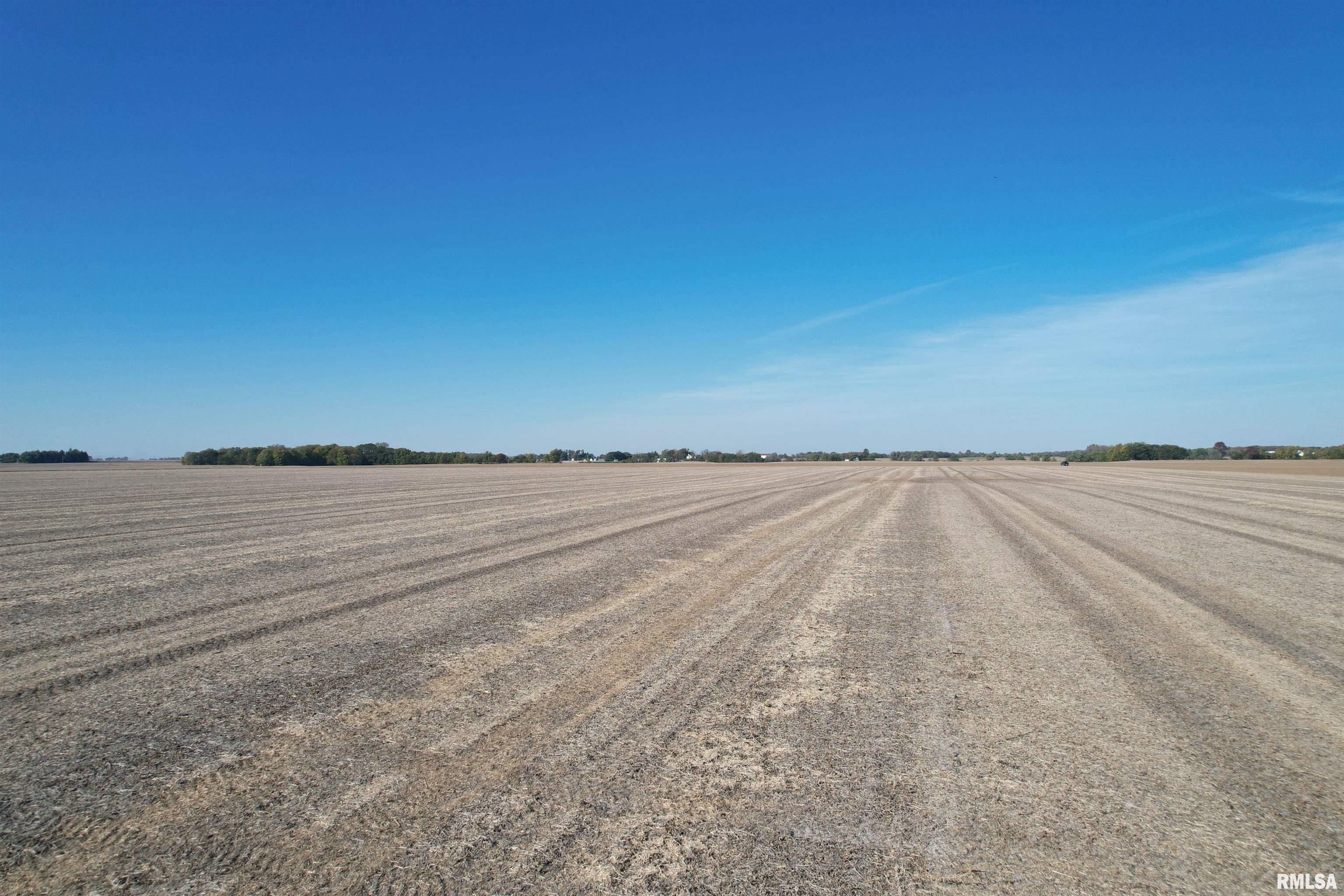 Walbaum Road, Pleasant Plains, Illinois image 9