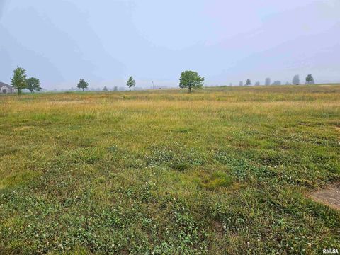 Vacant Land For Sale - 921 Ring Drive<br/> Metamora, IL 61548