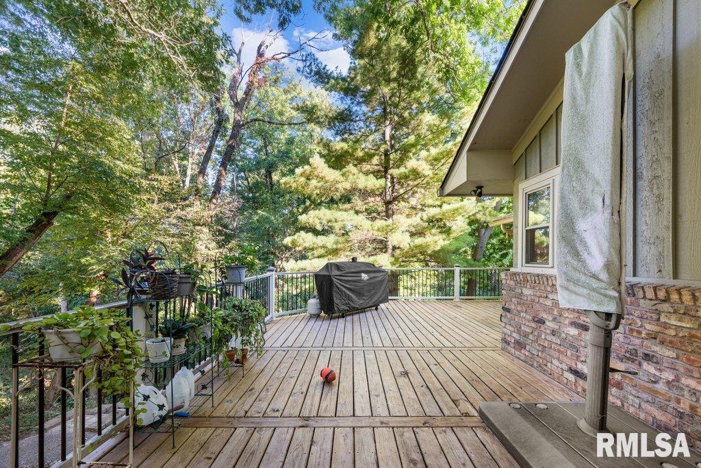 3235 29th Avenue Court, Rock Island, Illinois image 17