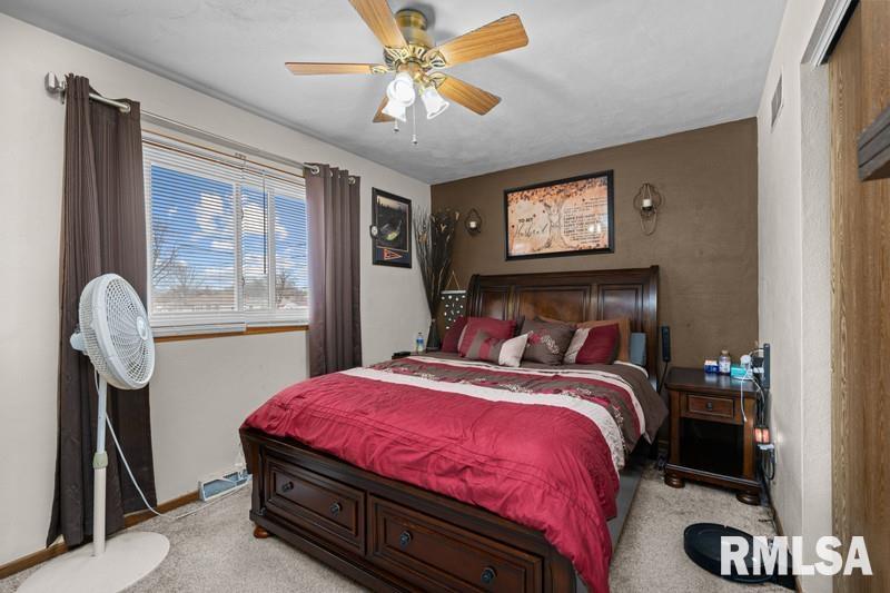 226 3rd Street, Colona, Illinois image 19
