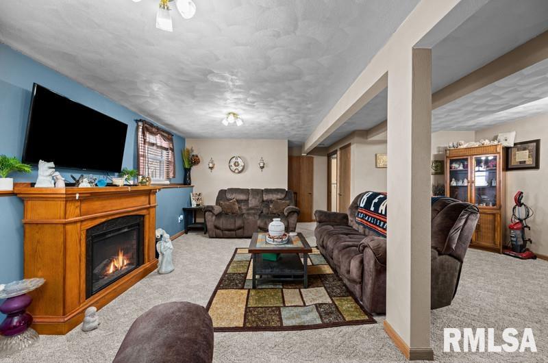 226 3rd Street, Colona, Illinois image 23