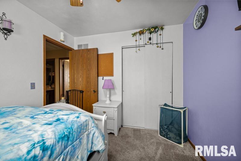 226 3rd Street, Colona, Illinois image 17