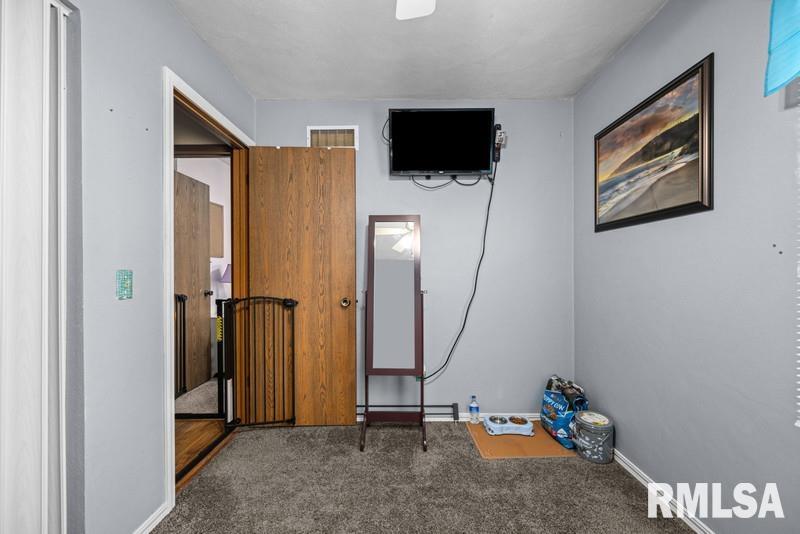 226 3rd Street, Colona, Illinois image 16