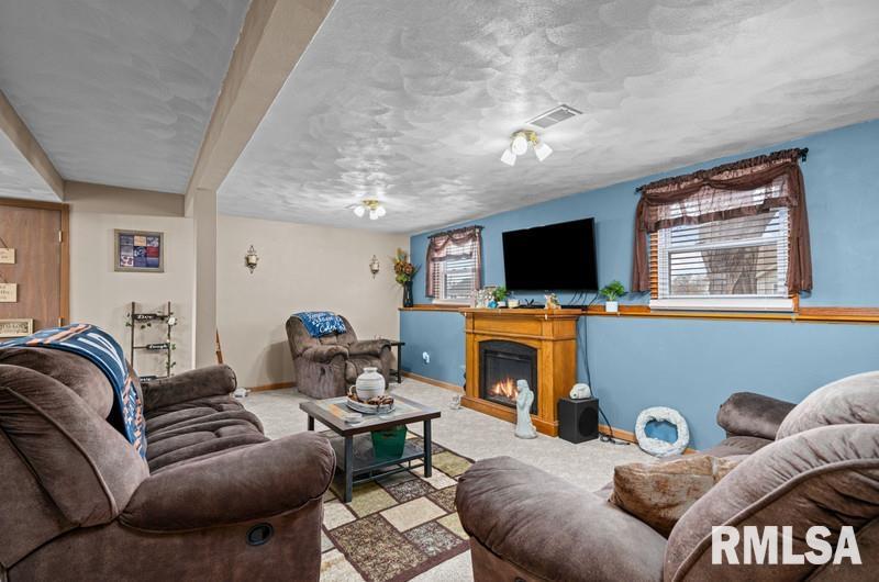 226 3rd Street, Colona, Illinois image 22
