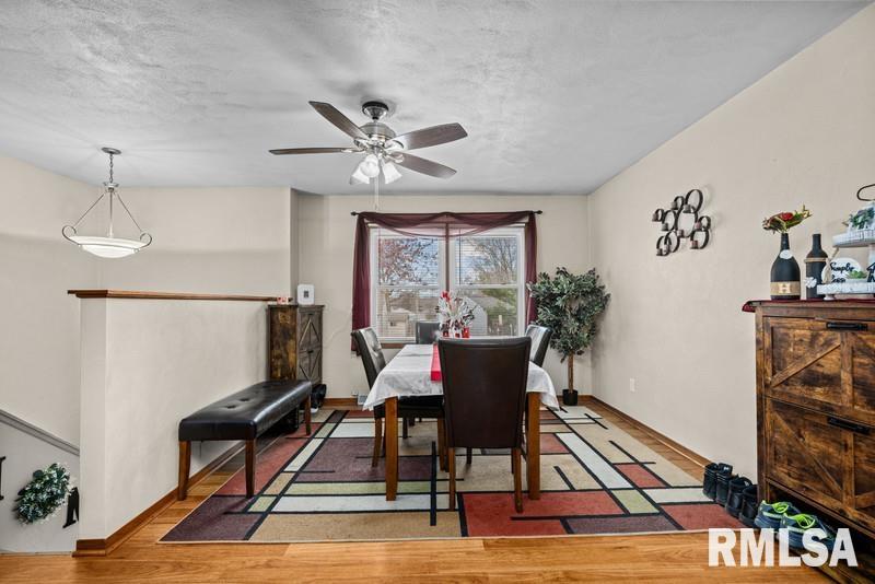 226 3rd Street, Colona, Illinois image 12