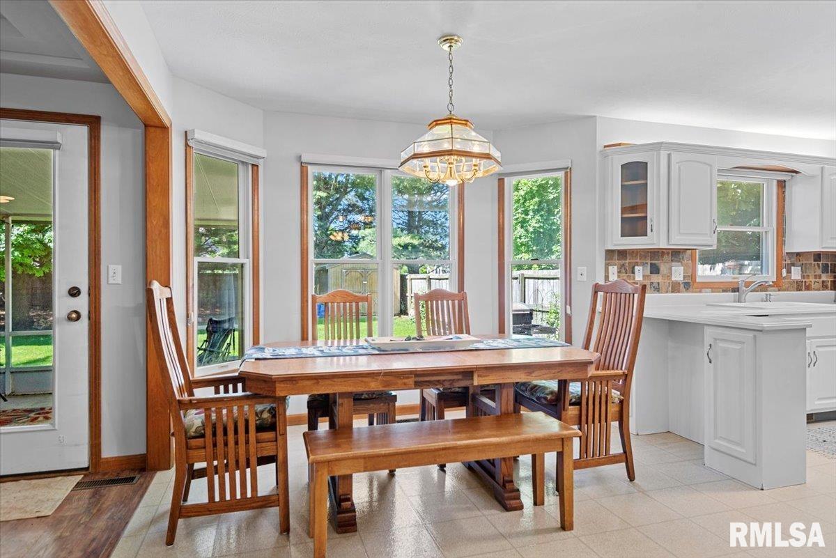 308 Linden Lane, Williamsville, Illinois image 11