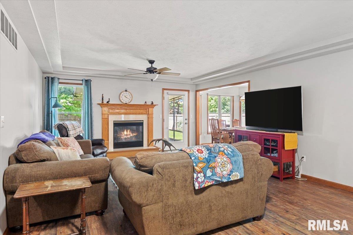 308 Linden Lane, Williamsville, Illinois image 6