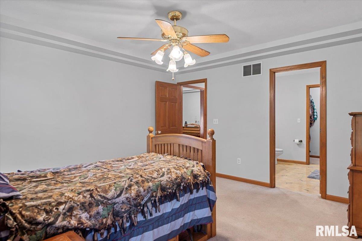308 Linden Lane, Williamsville, Illinois image 22