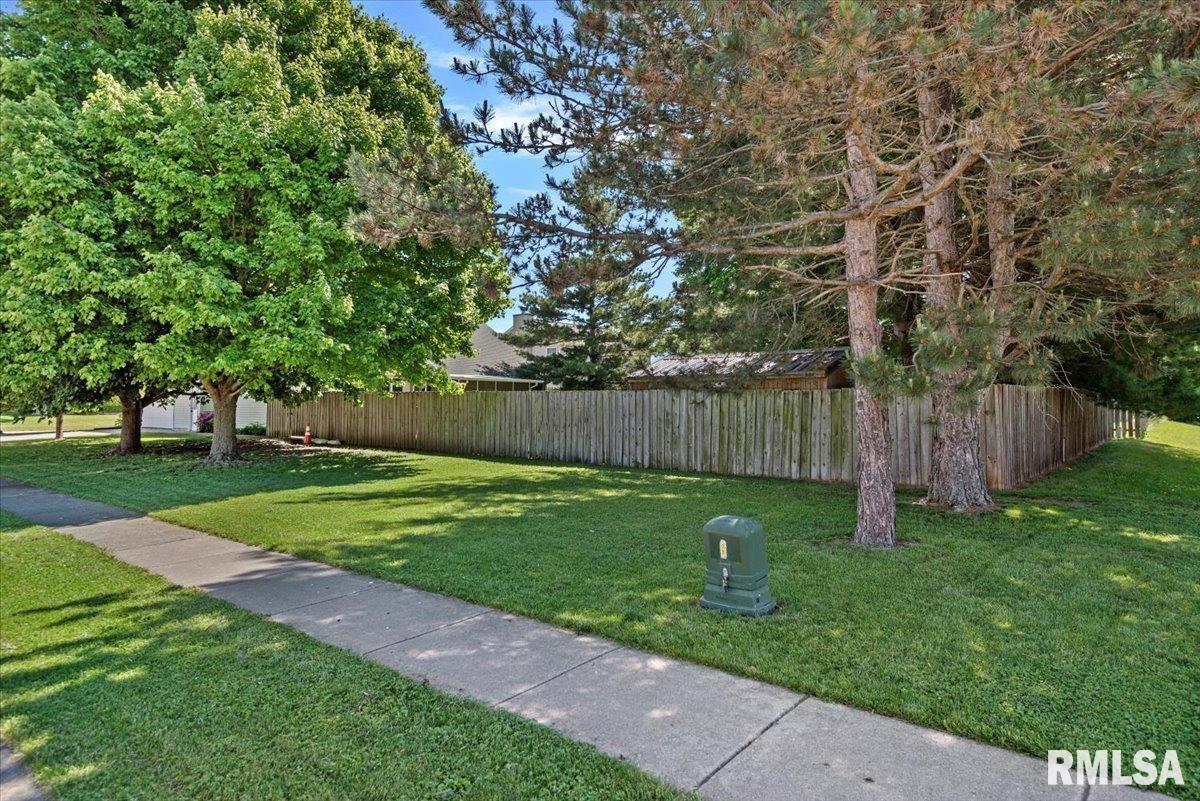 308 Linden Lane, Williamsville, Illinois image 40