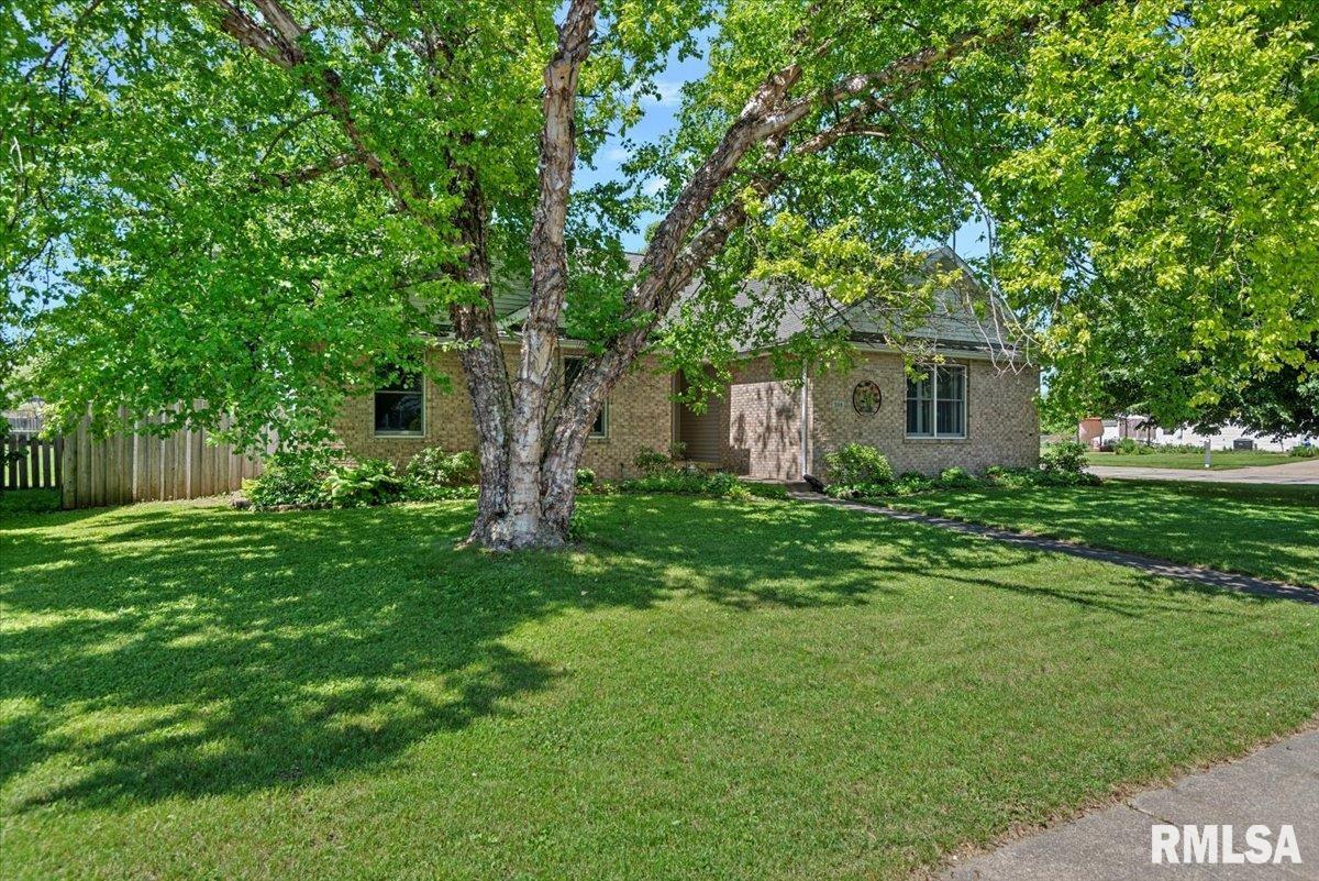 308 Linden Lane, Williamsville, Illinois image 3