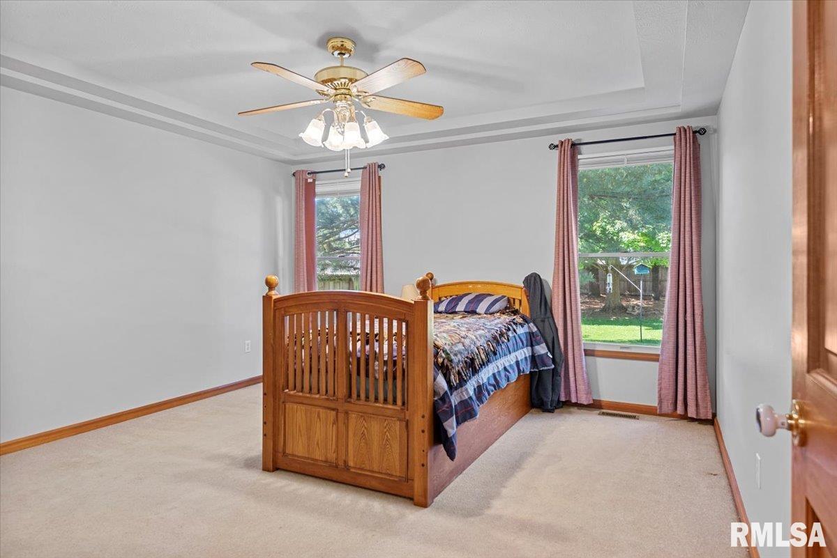308 Linden Lane, Williamsville, Illinois image 21
