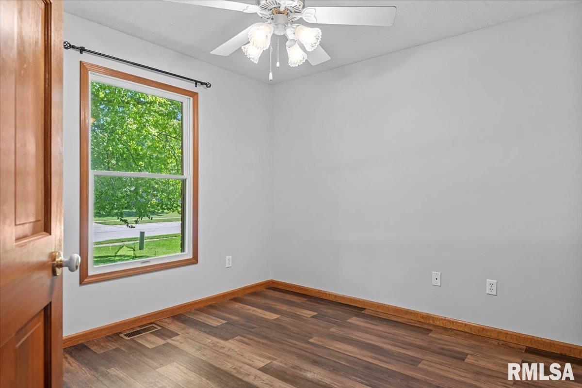 308 Linden Lane, Williamsville, Illinois image 26