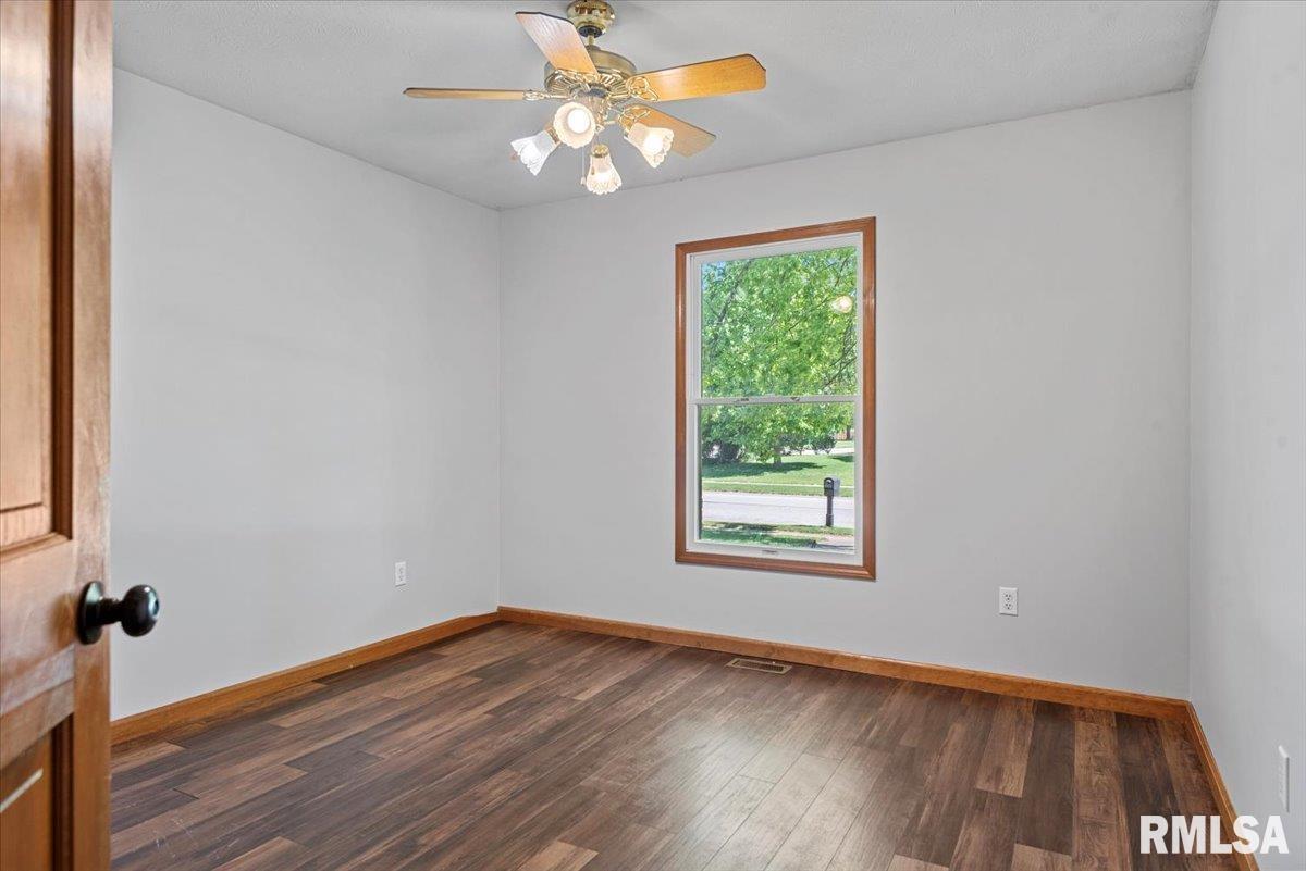 308 Linden Lane, Williamsville, Illinois image 28