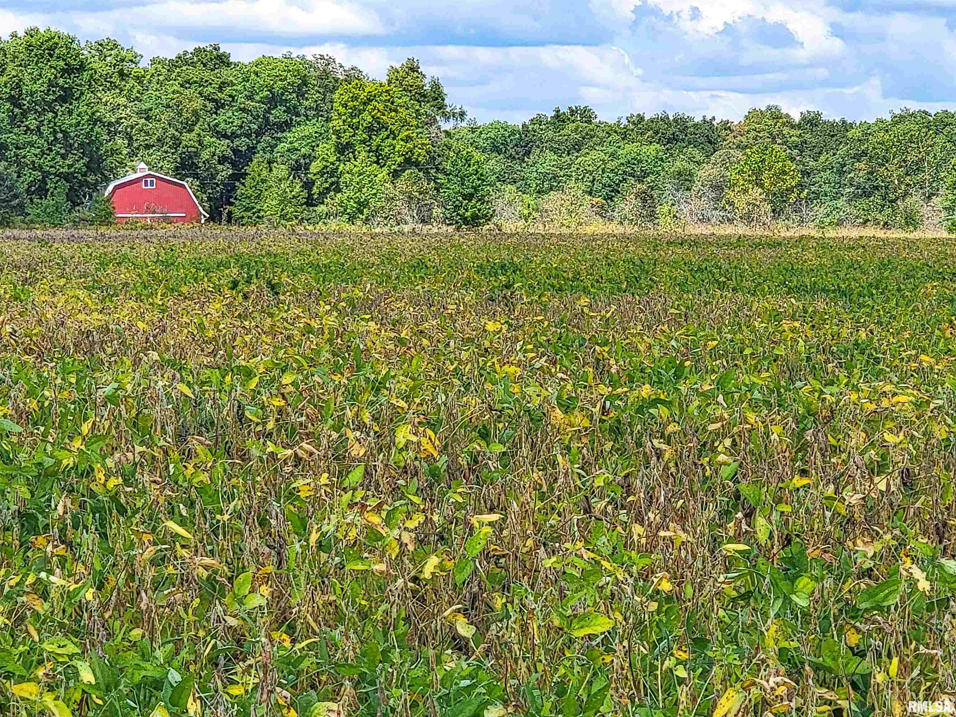 Tract 1 Coon Creek Road, Flora, Illinois image 1