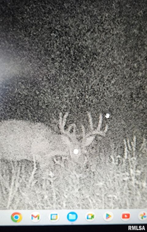 Vacant Land For Sale - 000 State Route 147 Highway<br/> Johnson County, Vienna, IL 62995