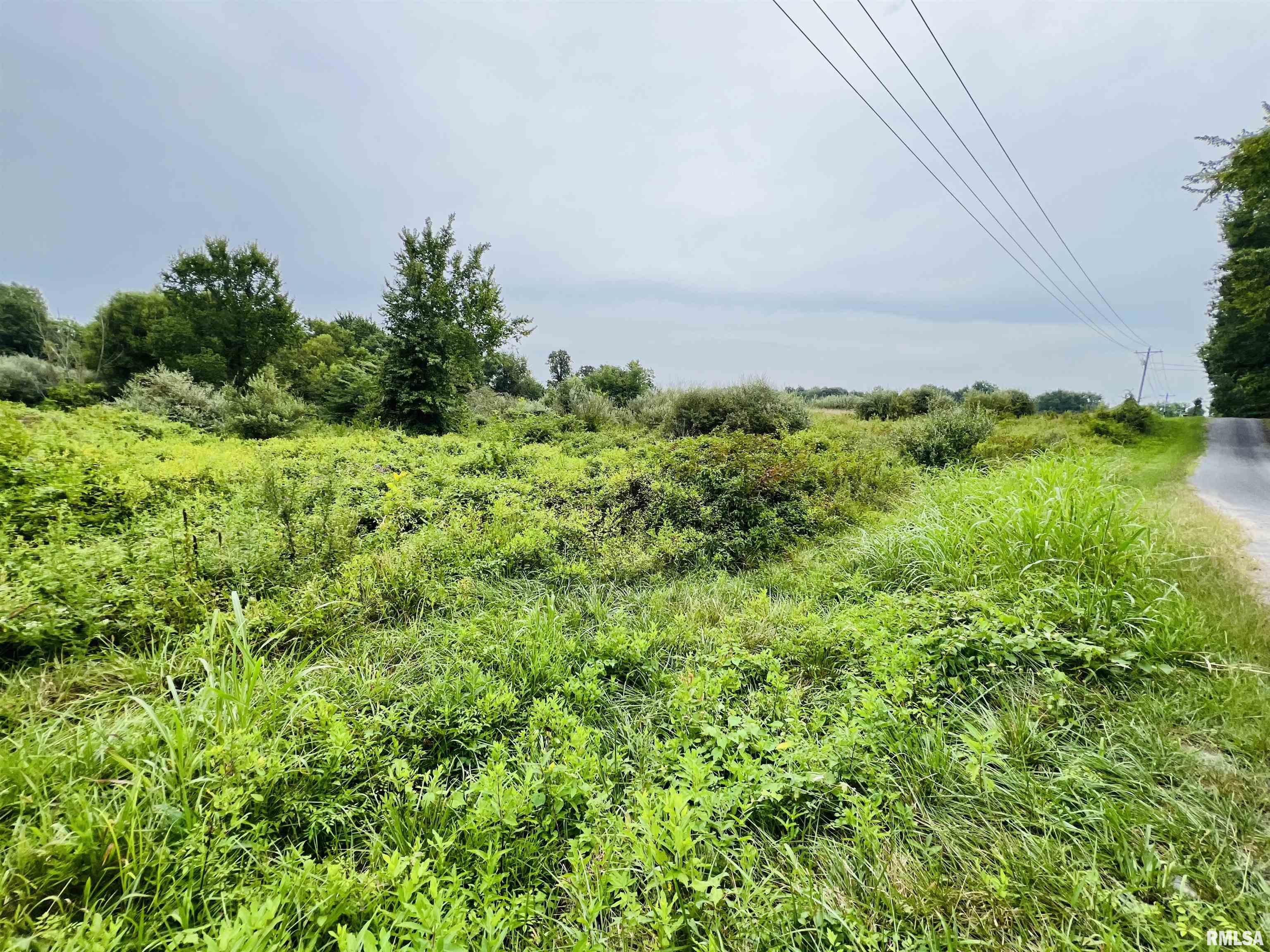 0000 S County Line Road, West Frankfort, Illinois image 3