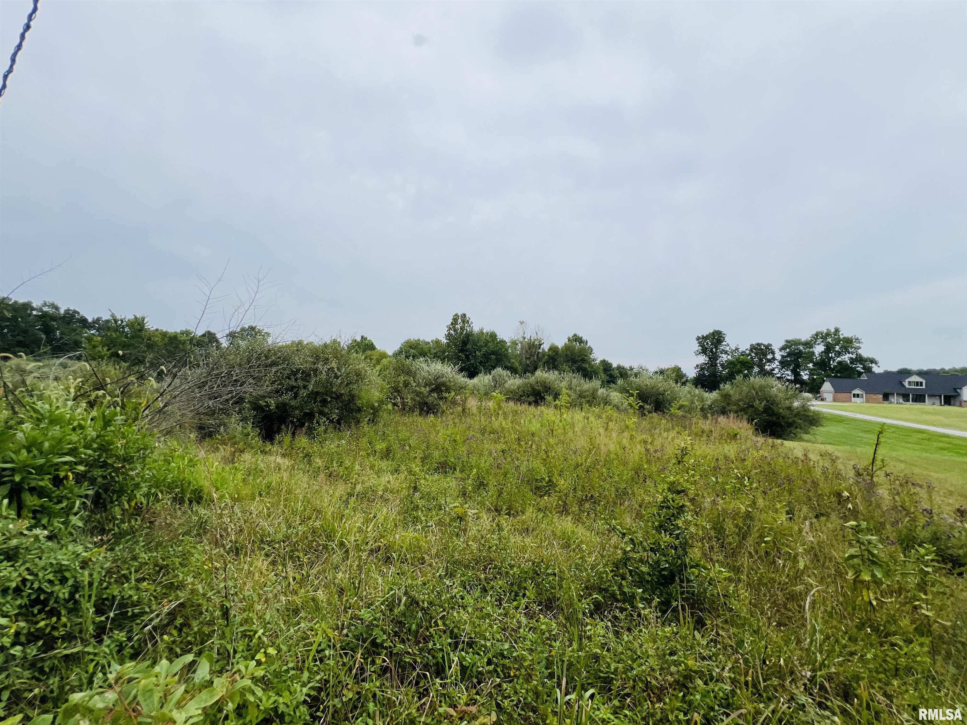 0000 S County Line Road, West Frankfort, Illinois image 6