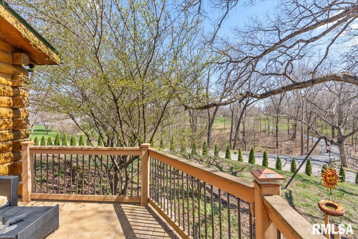 24210 Burr Oaks Lane, Athens, Illinois image 5
