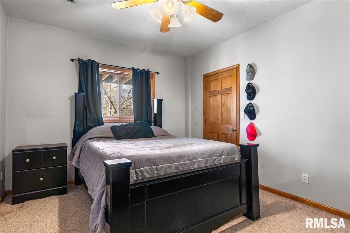 24210 Burr Oaks Lane, Athens, Illinois image 26