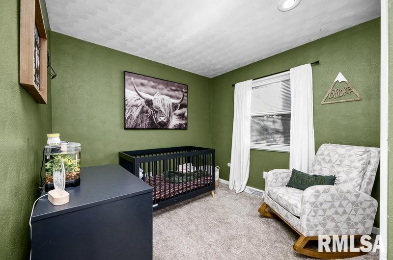 2654 Wilkes Avenue, Davenport, Iowa image 19