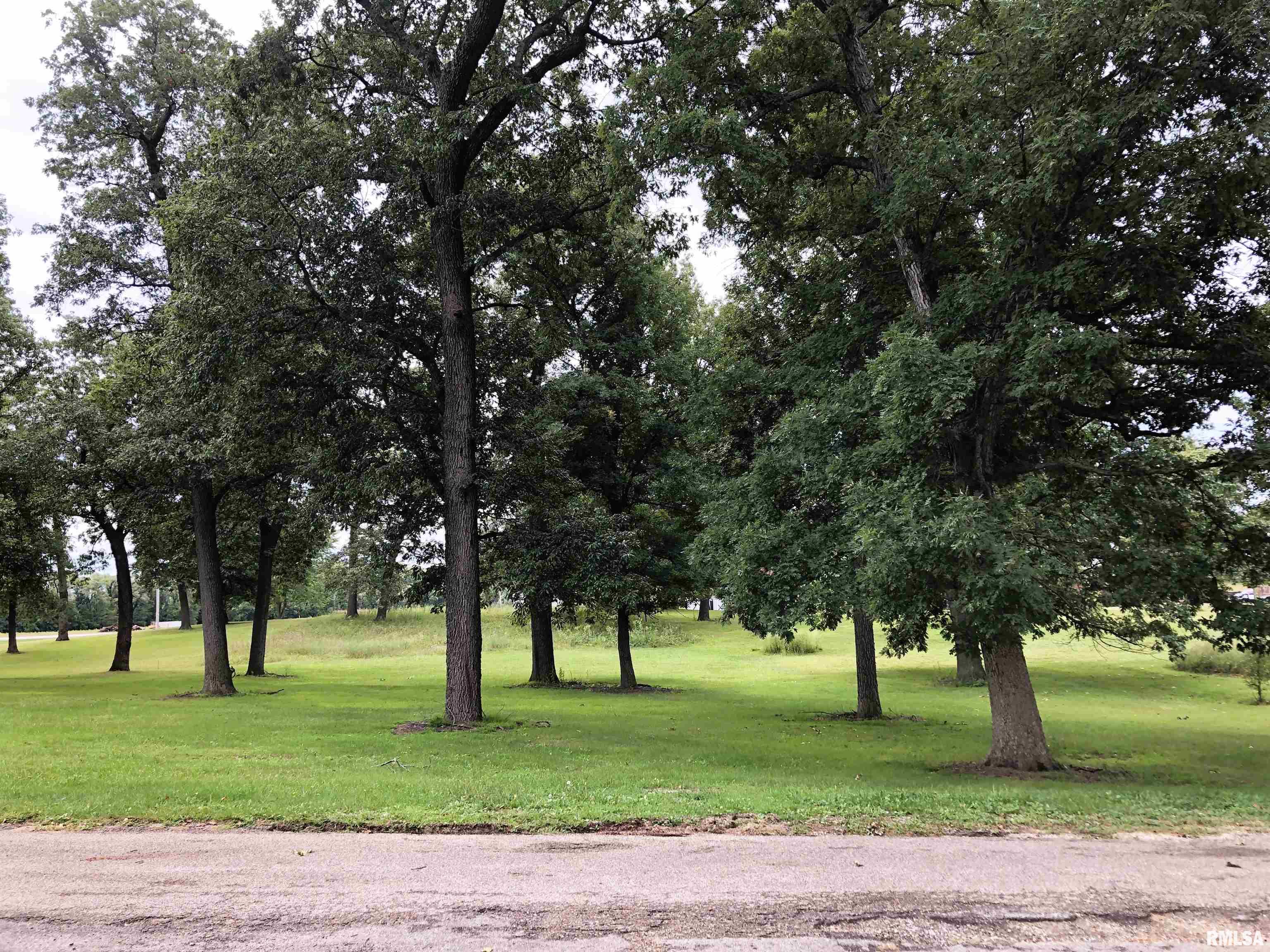 1104 County Road 960 North Road, Bath, Illinois image 8