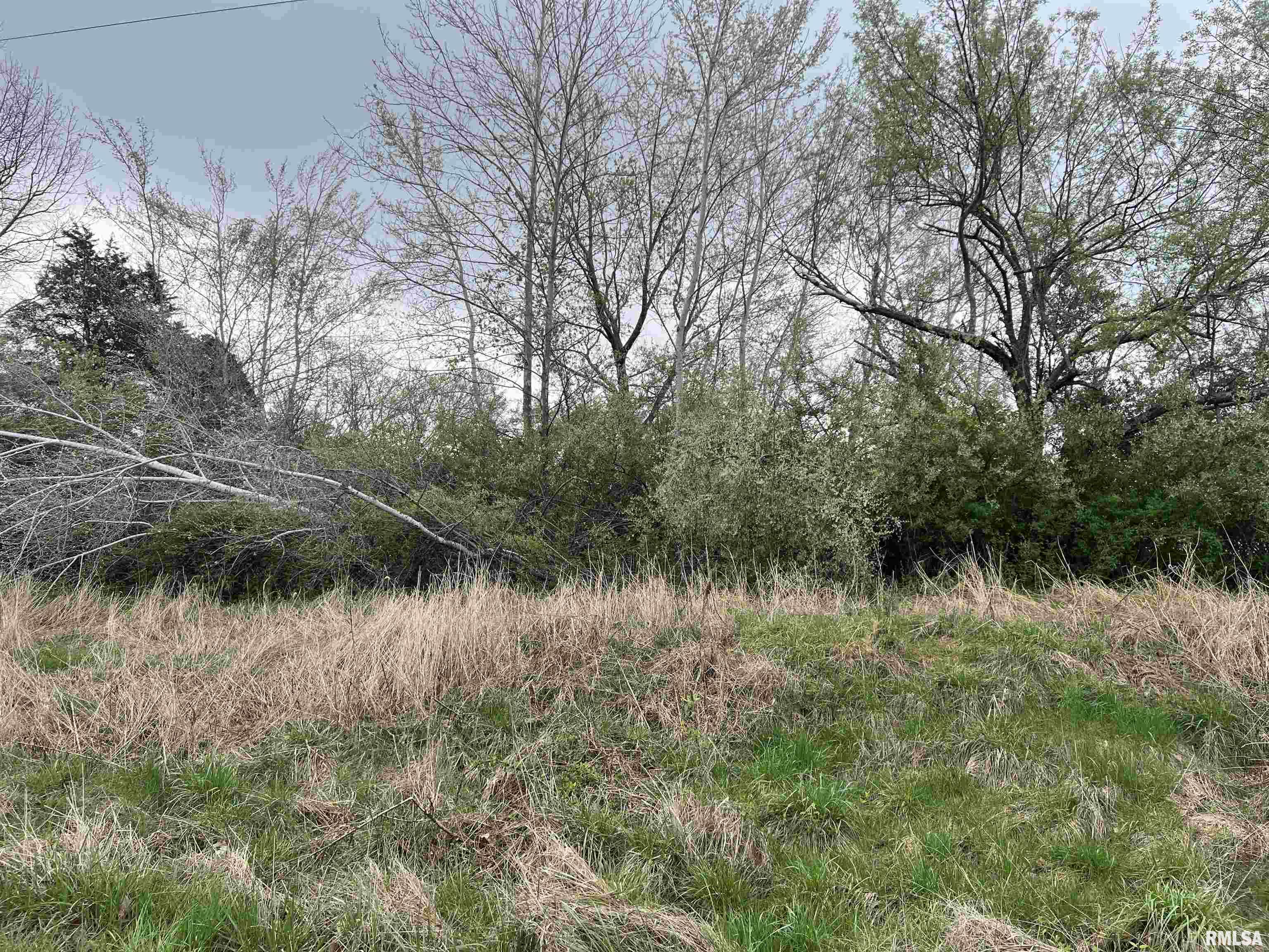Lot 103 Cherokee Road, Goreville, Illinois image 2