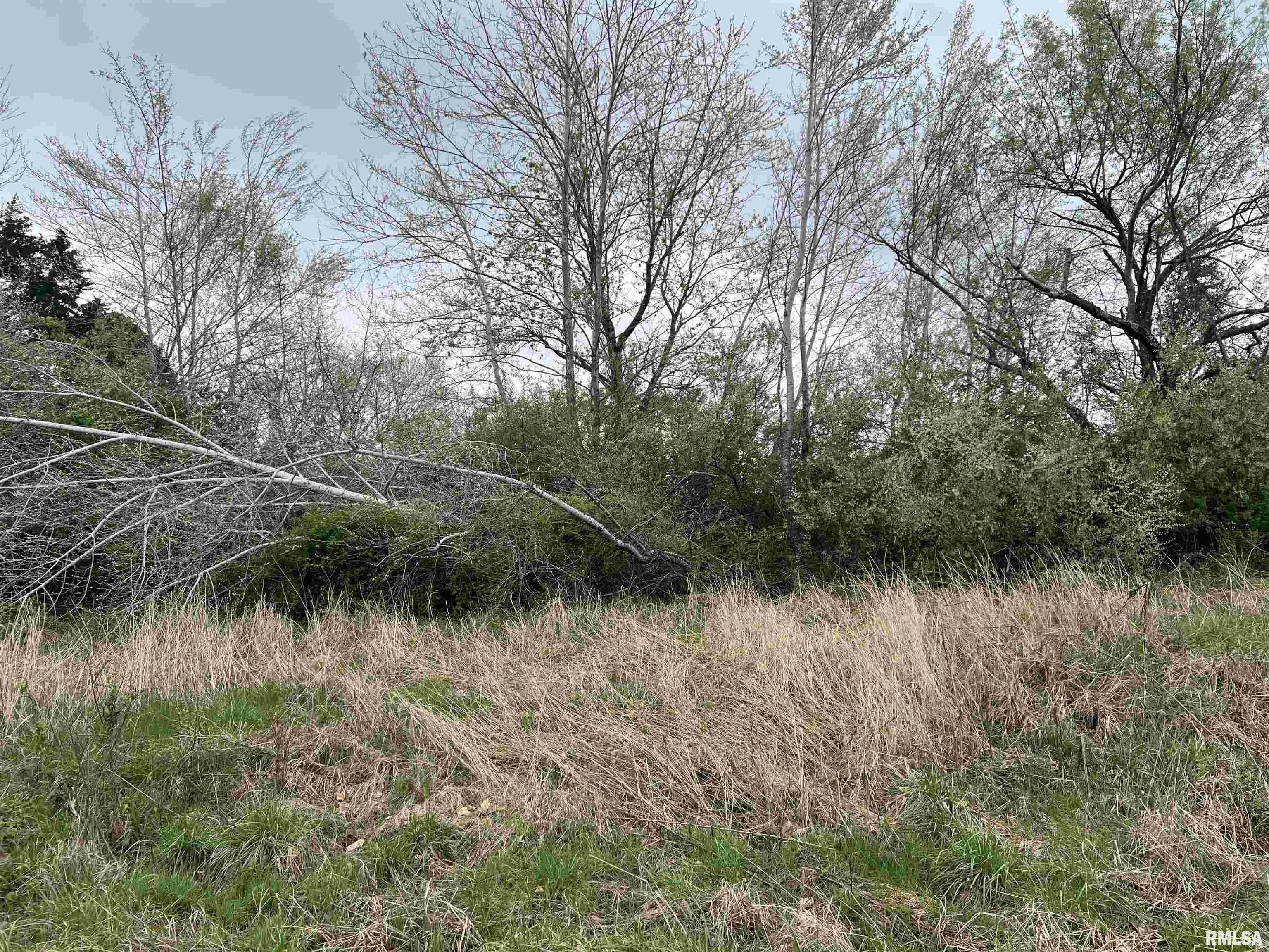 Lot 103 Cherokee Road, Goreville, Illinois image 1