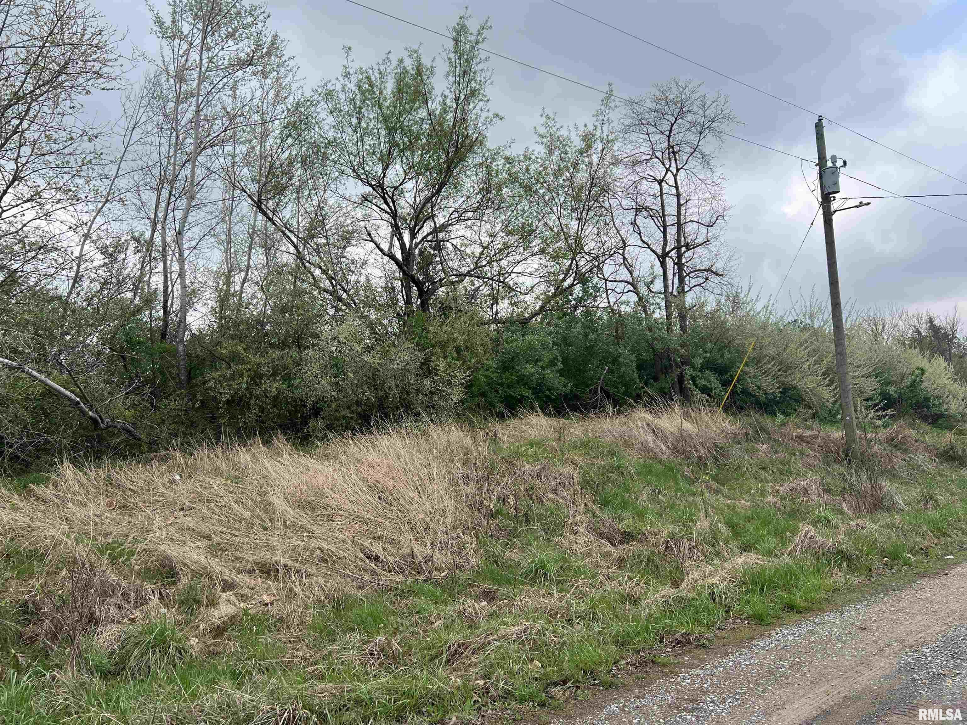 Lot 103 Cherokee Road, Goreville, Illinois image 5