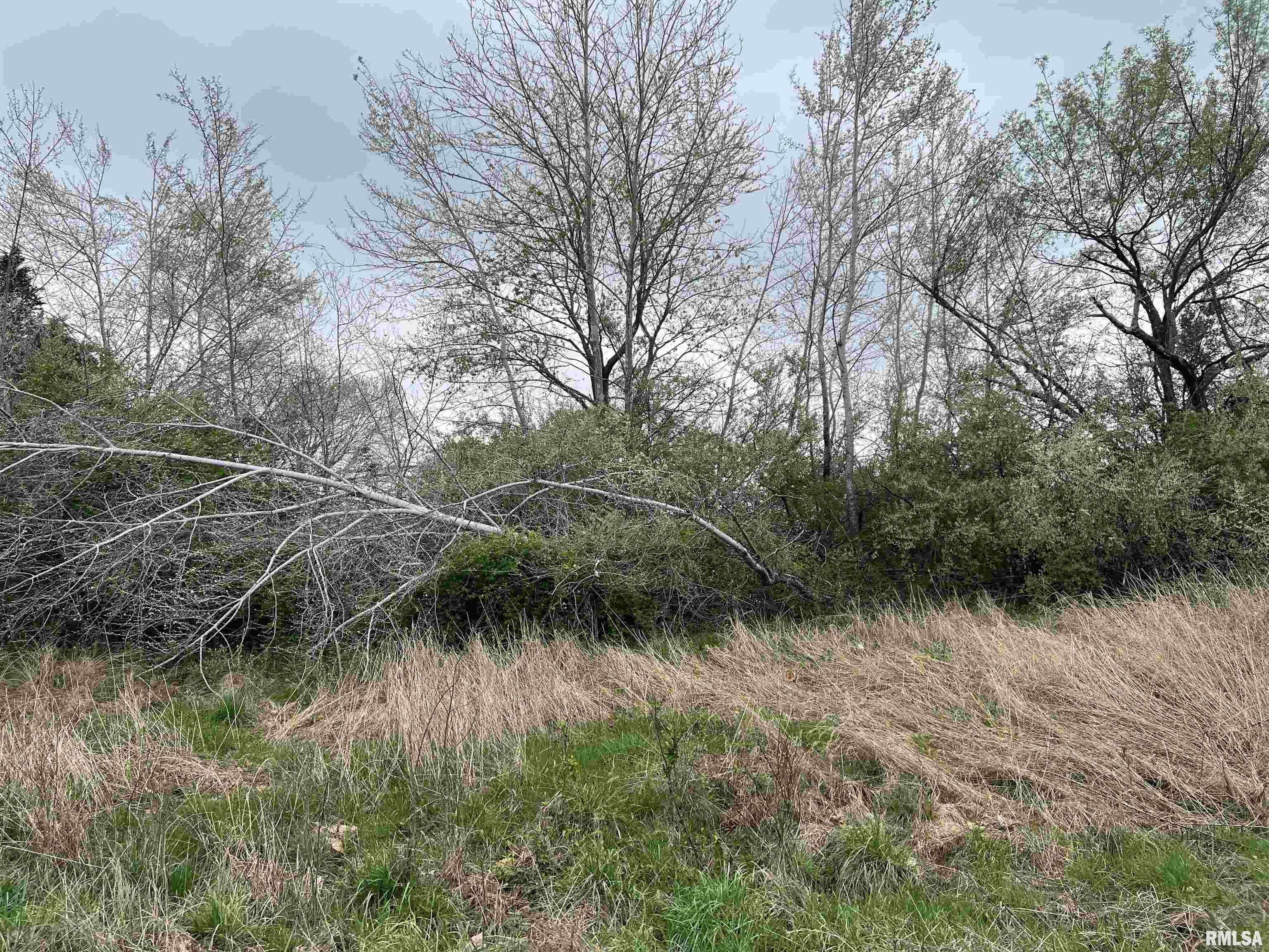 Lot 103 Cherokee Road, Goreville, Illinois image 4
