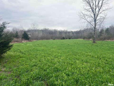 Vacant Land For Sale - RR Flower Creek Road<br/> Schuyler County, Plymouth, IL 62367