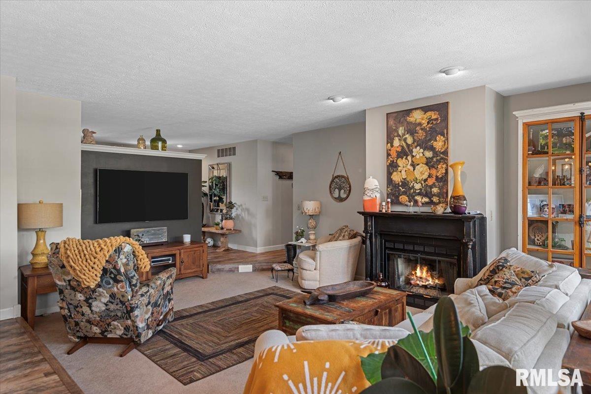 3709 Indian Grass Lane, Springfield, Illinois image 10