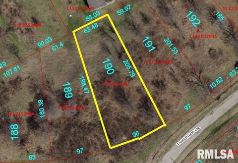 Vacant Land For Sale - 190 Tanglewood Circle<br/> Dahinda, IL 61428
