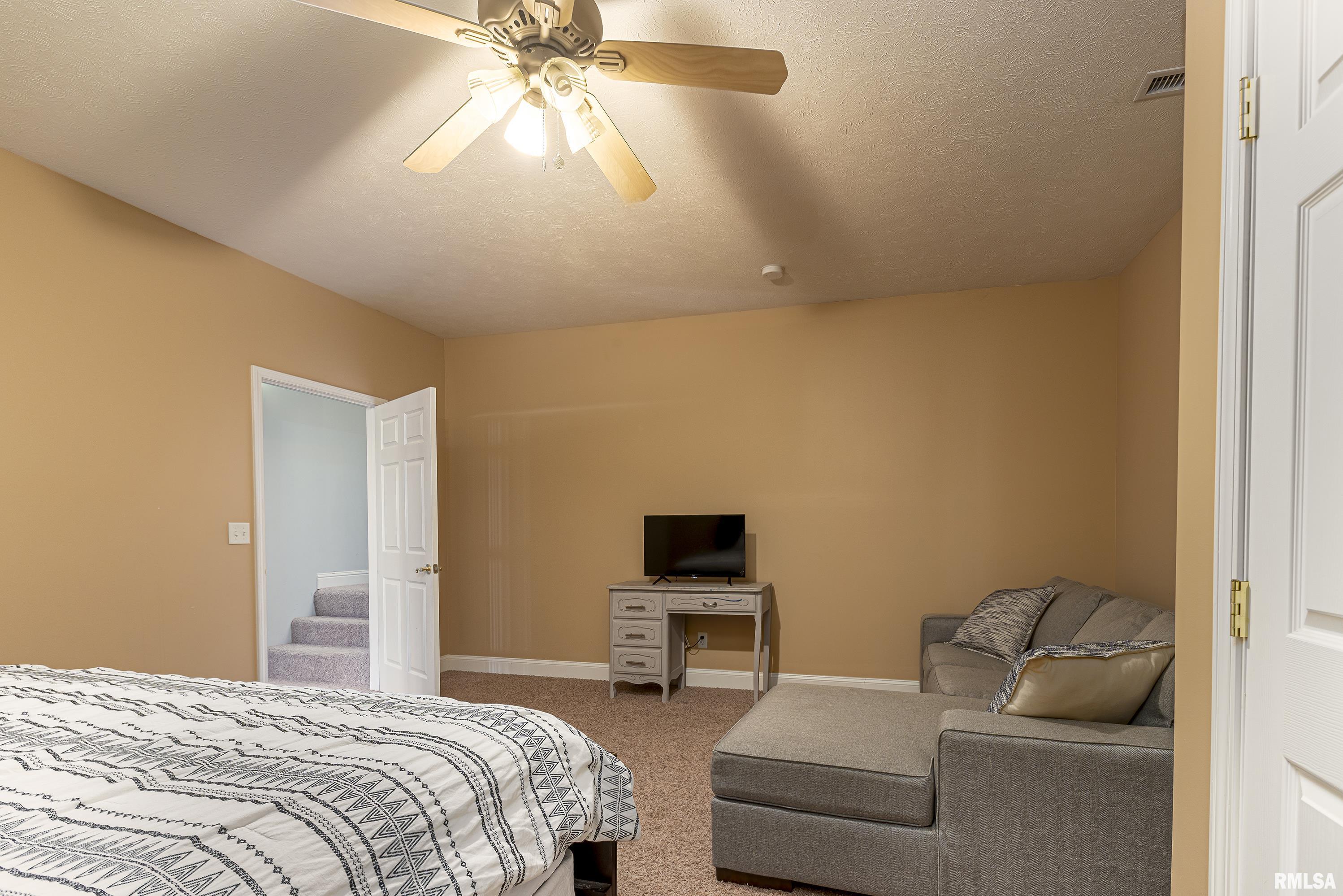 11674 Hafer Road, Carterville, Illinois image 35