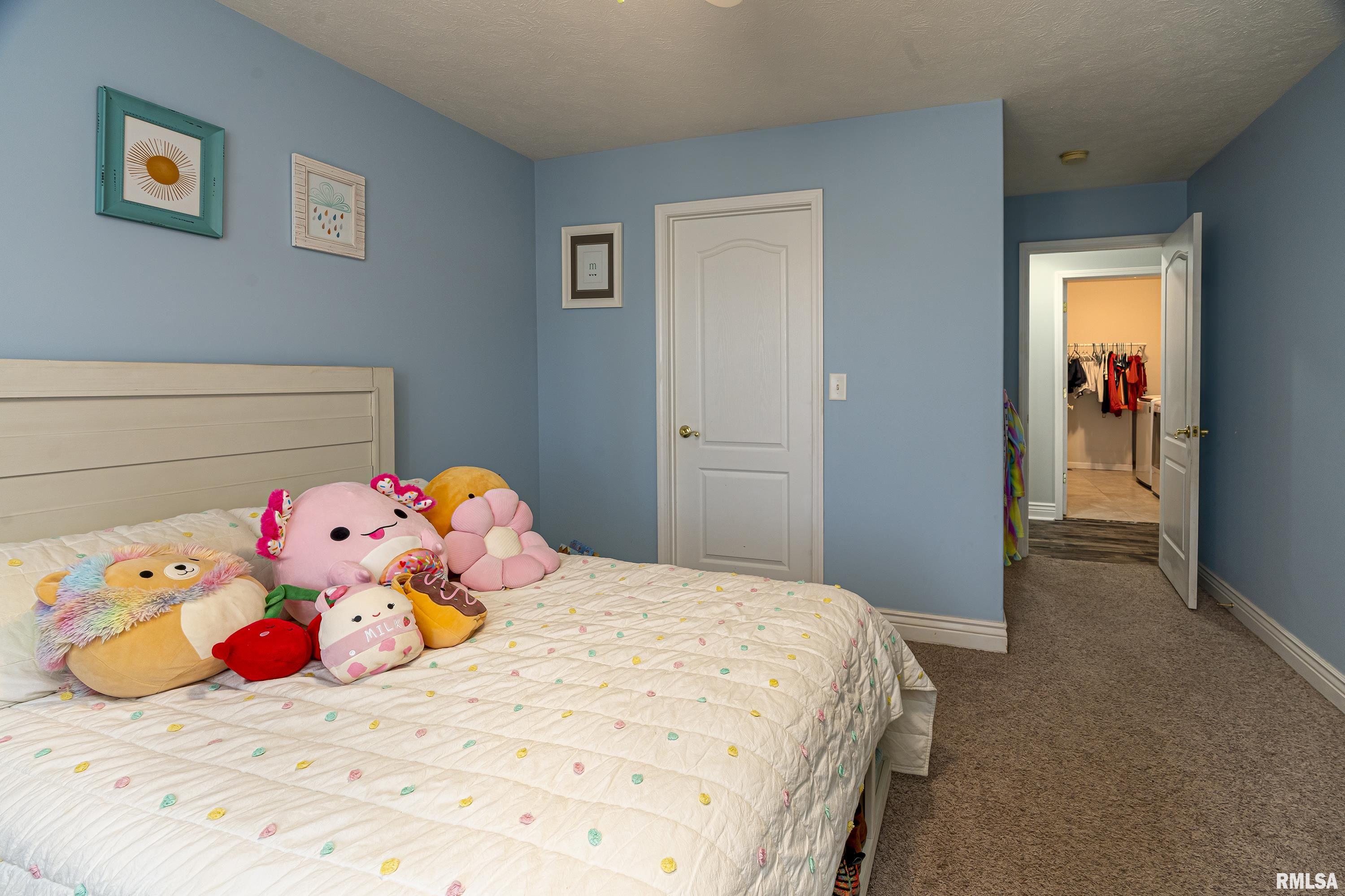 11674 Hafer Road, Carterville, Illinois image 30
