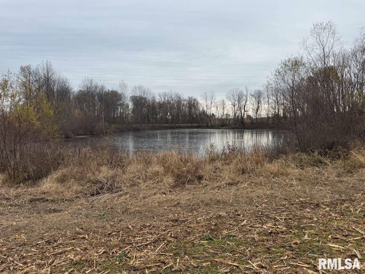 000 State Route 146 E Highway, Elizabethtown, Illinois image 12