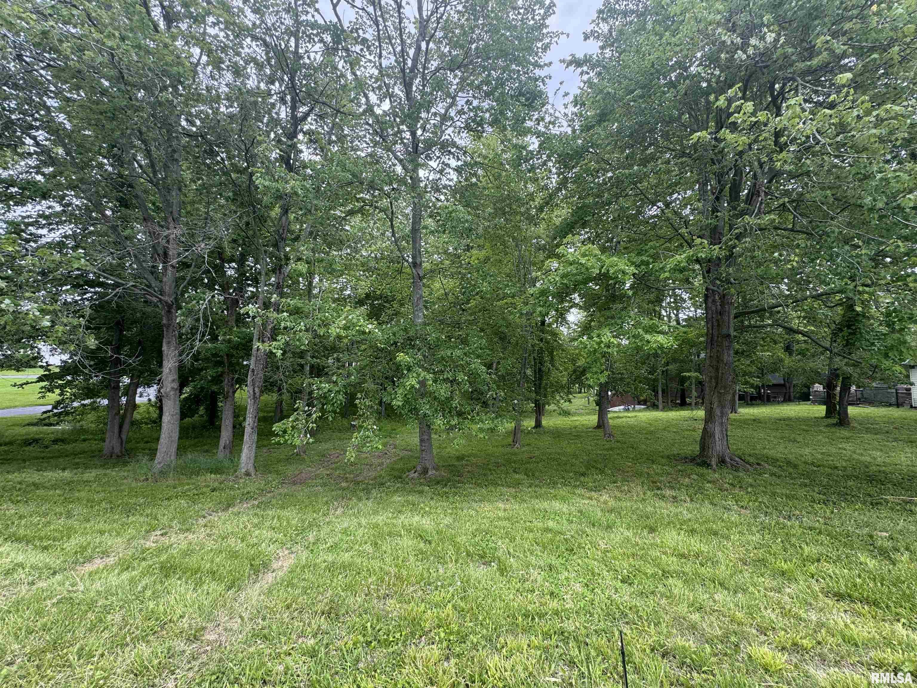 000 W Douglas Street, Marion, Illinois image 3