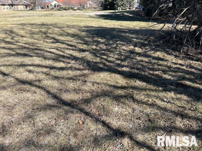 243 12th Avenue, Moline, Illinois image 6